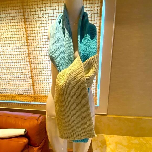 GAP Accessories - Tri color blue and cream knit scarf from the GAP